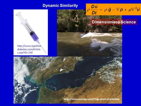 Dynamic Similarity  diabetes.com/Article s.asp?ID=150  Dimensionless Science.