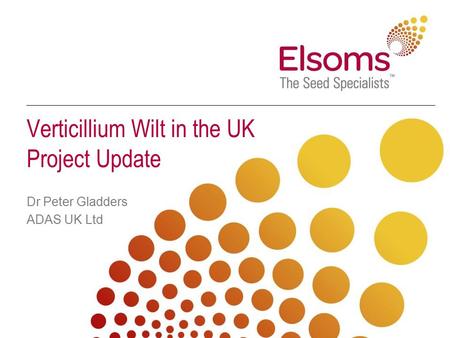 Verticillium Wilt in the UK Project Update Dr Peter Gladders ADAS UK Ltd.
