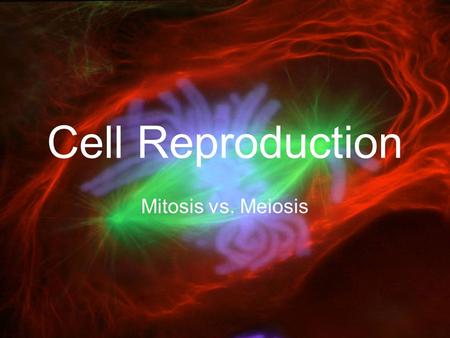 Cell Reproduction Mitosis vs. Meiosis.