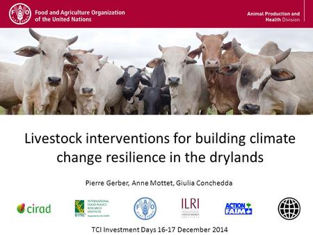 Livestock interventions for building climate change resilience in the drylands TCI Investment Days 16-17 December 2014 Pierre Gerber, Anne Mottet, Giulia.