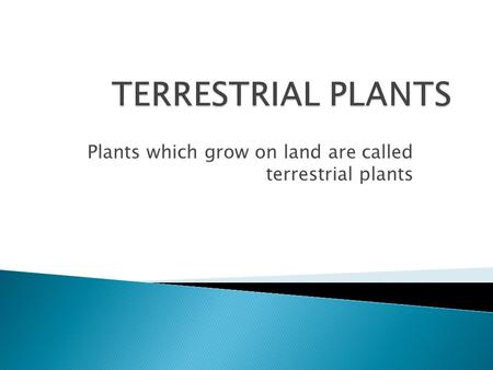 Plants which grow on land are called terrestrial plants