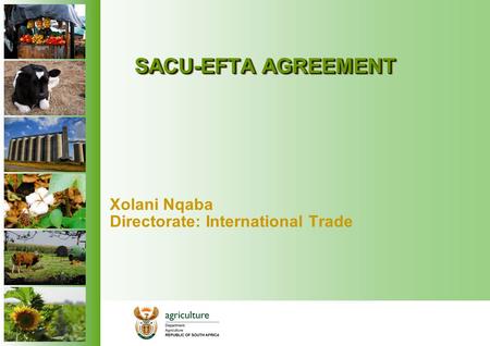 SACU-EFTA AGREEMENT Xolani Nqaba Directorate: International Trade.