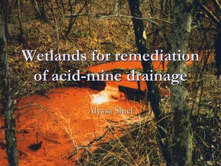 Wetlands for remediation of acid-mine drainage Alyssa Shiel.