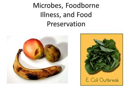 Microbes, Foodborne Illness, and Food Preservation