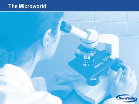 2-1 The Microworld. 2-2 Types of Microorganisms Bacteria Viruses Parasites Fungi Similarities.