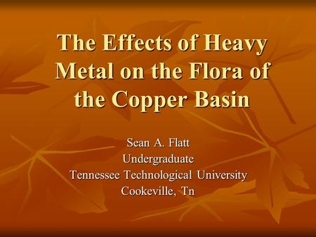 The Effects of Heavy Metal on the Flora of the Copper Basin Sean A. Flatt Undergraduate Tennessee Technological University Cookeville, Tn.