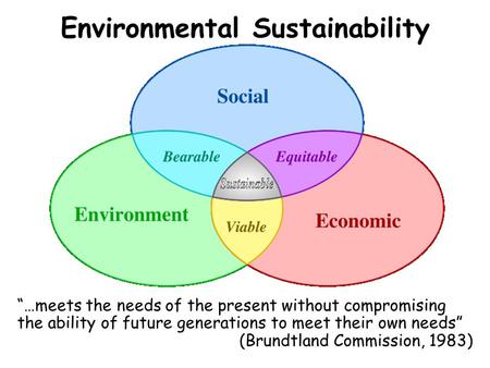 Environmental Sustainability “…meets the needs of the present without compromising the ability of future generations to meet their own needs” (Brundtland.