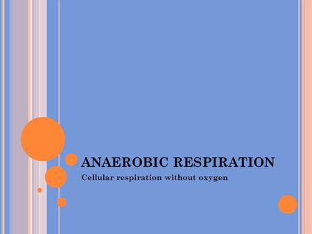 ANAEROBIC RESPIRATION Cellular respiration without oxygen.