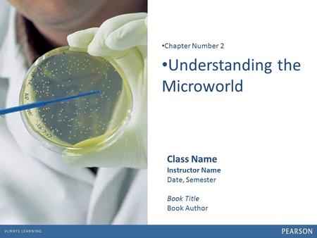 Understanding the Microworld