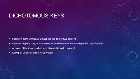 DICHOTOMOUS KEYS Based on dichotomies, you must choose one of two options By repeating this step, you can narrow down to more and more specific classifications.