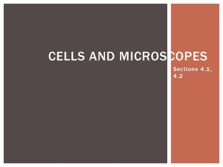 Sections 4.1, 4.2 CELLS AND MICROSCOPES.  Microscopes allow us to identify organisms that cause food to spoil and cause disease.  1665 Robert Hooke-
