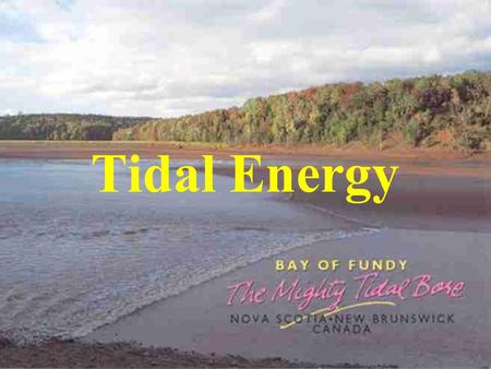 Tidal Energy.