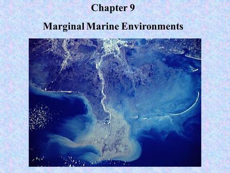 Marginal Marine Environments