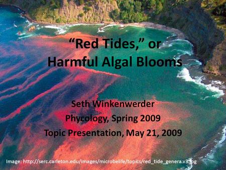 “Red Tides,” or Harmful Algal Blooms