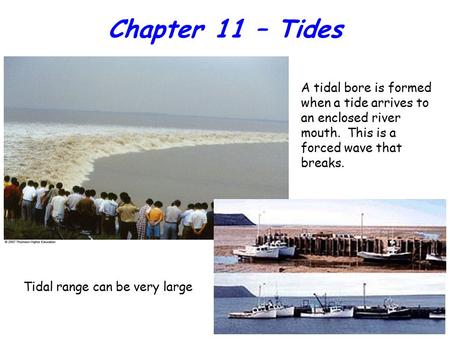 Chapter 11 – Tides A tidal bore is formed when a tide arrives to an enclosed river mouth. This is a forced wave that breaks. Tidal range can be very large.