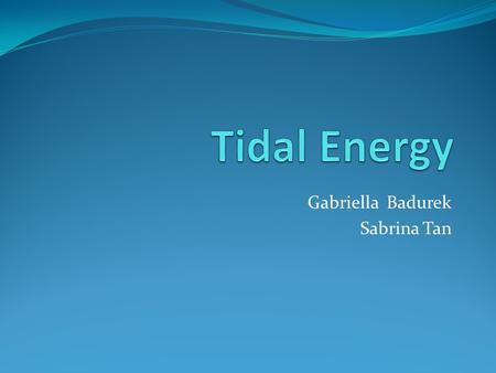 Gabriella Badurek Sabrina Tan. Tides vs. Waves Alternate rising and falling of the sea Occurs twice in each lunar day Controlled by the moon Kinetic energy.