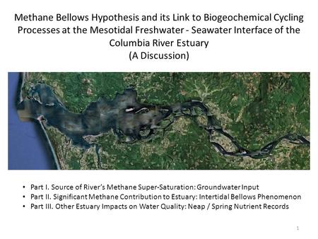 Methane Bellows Hypothesis and its Link to Biogeochemical Cycling Processes at the Mesotidal Freshwater - Seawater Interface of the Columbia River Estuary.
