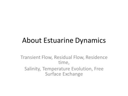 About Estuarine Dynamics