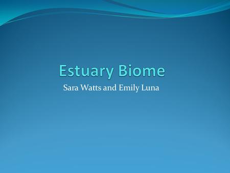 Sara Watts and Emily Luna. What’s an estuary? Saltwater meets freshwater River runs into ocean Lagoons Bays Tidal Marshes.