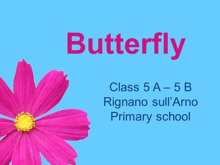 Butterfly Class 5 A – 5 B Rignano sull’Arno Primary school.