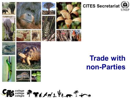 1 Trade with non-Parties CITES Secretariat. 2 Trade with non-Parties Article X, Trade with States not Party to the Convention, states: –Where export or.