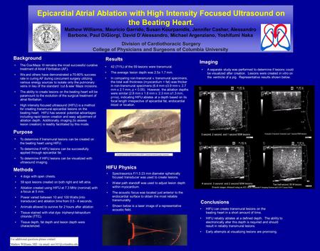 Epicardial Atrial Ablation with High Intensity Focused Ultrasound on the Beating Heart. Mathew Williams, Mauricio Garrido, Susan Kourpanidis, Jennifer.
