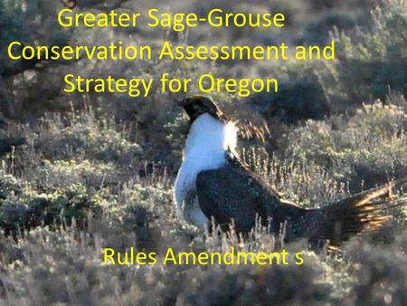 Greater Sage-Grouse Conservation Assessment and Strategy for Oregon Rules Amendment s.