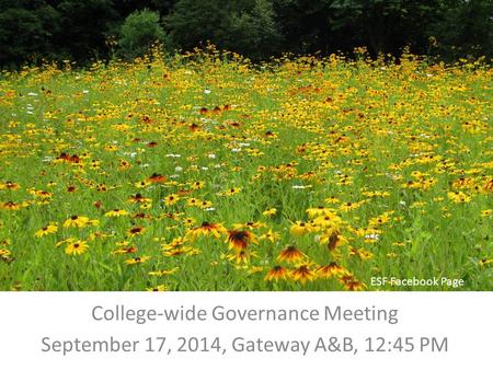 College-wide Governance Meeting September 17, 2014, Gateway A&B, 12:45 PM ESF Facebook Page.