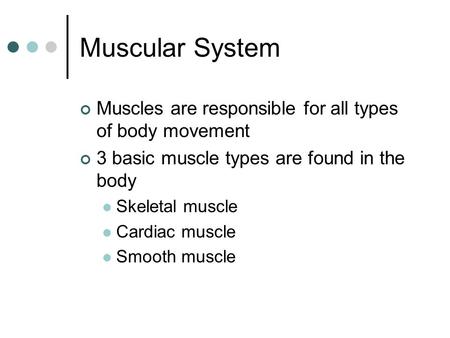 Muscular System Muscles are responsible for all types of body movement