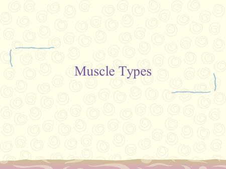 Muscle Types.