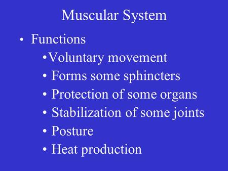 Muscular System Functions Voluntary movement Forms some sphincters Protection of some organs Stabilization of some joints Posture Heat production.