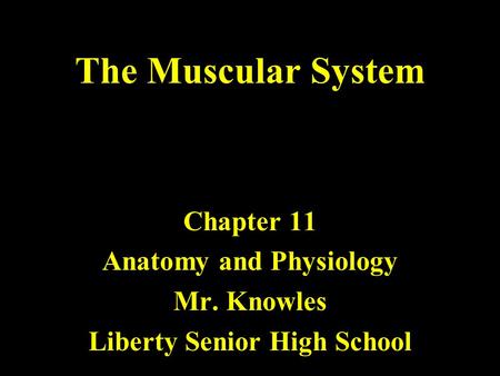 The Muscular System Chapter 11 Anatomy and Physiology Mr. Knowles Liberty Senior High School.