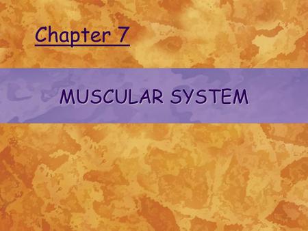 MUSCULAR SYSTEM Chapter 7. © 2004 Delmar Learning, a Division of Thomson Learning, Inc. TYPES OF MUSCLES Skeletal muscles Smooth muscle Cardiac muscle.