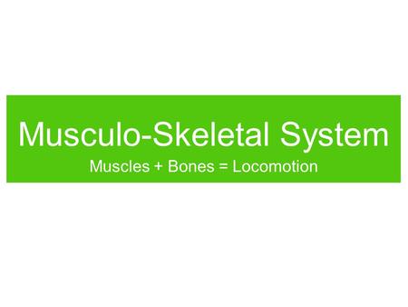 Musculo-Skeletal System Muscles + Bones = Locomotion.