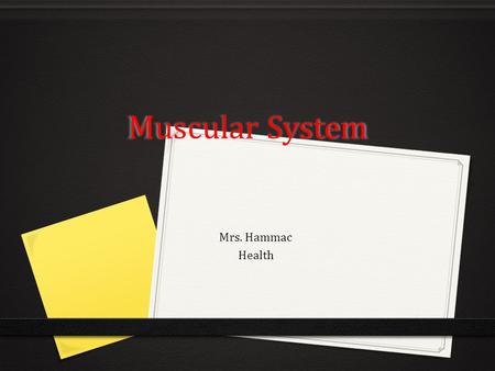 Muscular System Mrs. Hammac Health.