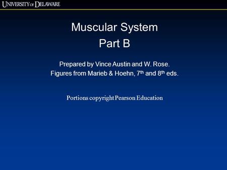 Muscular System Part B Prepared by Vince Austin and W. Rose.