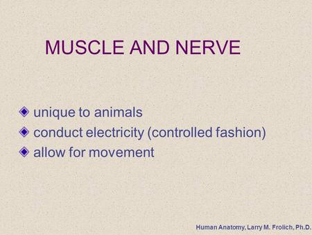 Human Anatomy, Larry M. Frolich, Ph.D. MUSCLE AND NERVE unique to animals conduct electricity (controlled fashion) allow for movement.