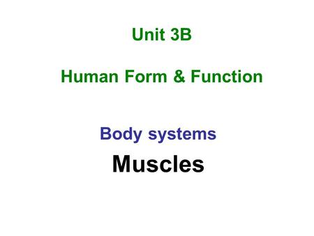 Unit 3B Human Form & Function Body systems Muscles.
