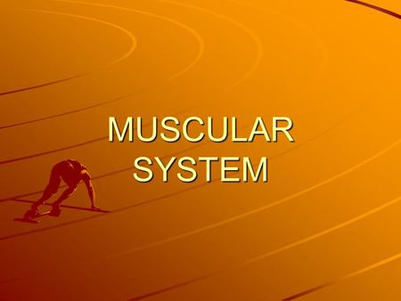 MUSCULAR SYSTEM. General Information Muscles account for 50% of body weight Protects organs –What organs? Gives body shape and posture Provides movement.