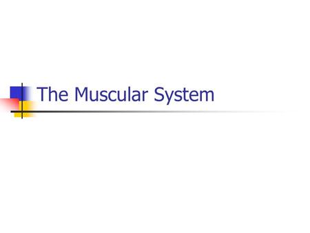 The Muscular System. MUSCULAR SYSTEM Types of Muscle Tissue: Skeletal, Smooth, and Cardiac Skeletal, aka “striated” voluntary – attached to bones and.