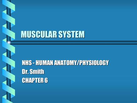 NHS - HUMAN ANATOMY/PHYSIOLOGY Dr. Smith CHAPTER 6