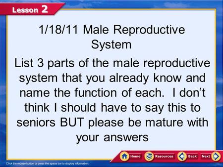 1/18/11 Male Reproductive System