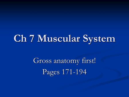 Ch 7 Muscular System Gross anatomy first! Pages 171-194.