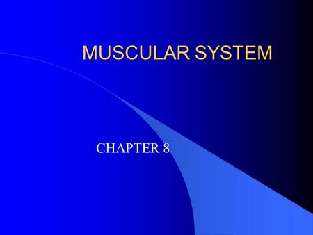 MUSCULAR SYSTEM CHAPTER 8.