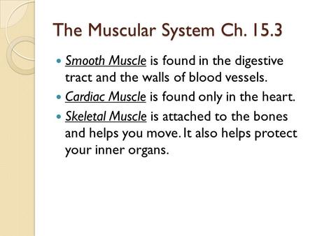 The Muscular System Ch. 15.3 Smooth Muscle is found in the digestive tract and the walls of blood vessels. Cardiac Muscle is found only in the heart. Skeletal.
