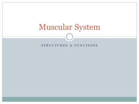 STRUCTURES & FUNCTIONS Muscular System. All of the muscles that let you move. An organ system whose primary function is movement and flexibility.