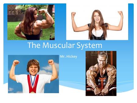 The Muscular System Mr. Hickey. Muscle Pretest.