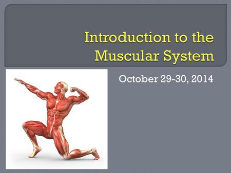 October 29-30, 2014. What are the functions of muscles?