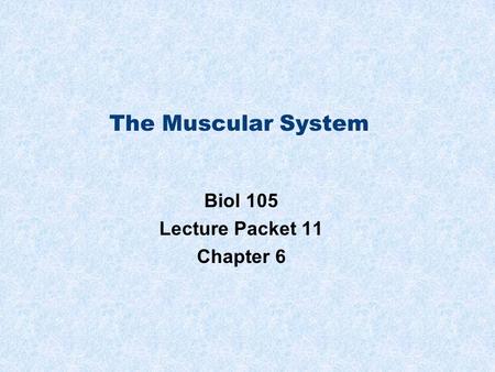 The Muscular System Biol 105 Lecture Packet 11 Chapter 6.