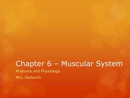 Chapter 6 – Muscular System